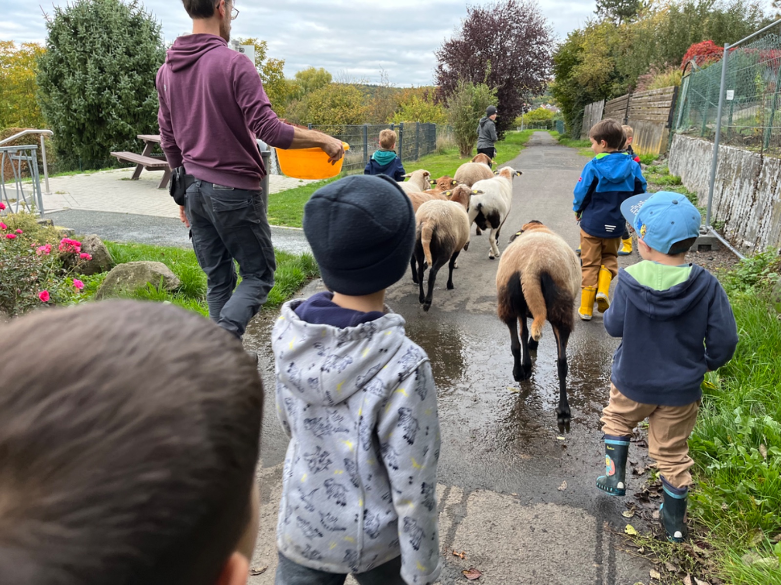 Besuch bei der Tiertafel – Schafe füttern